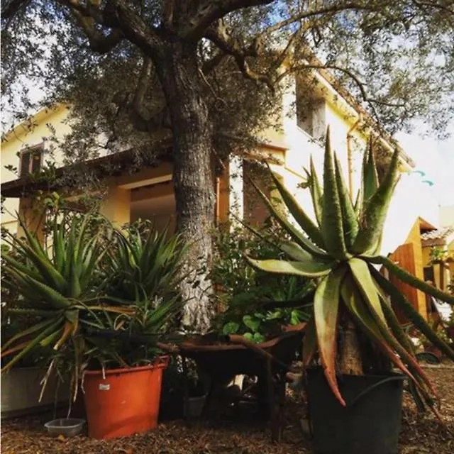 Gasthof Rio Barca Bed And Breakfast Alghero